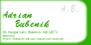 adrian bubenik business card